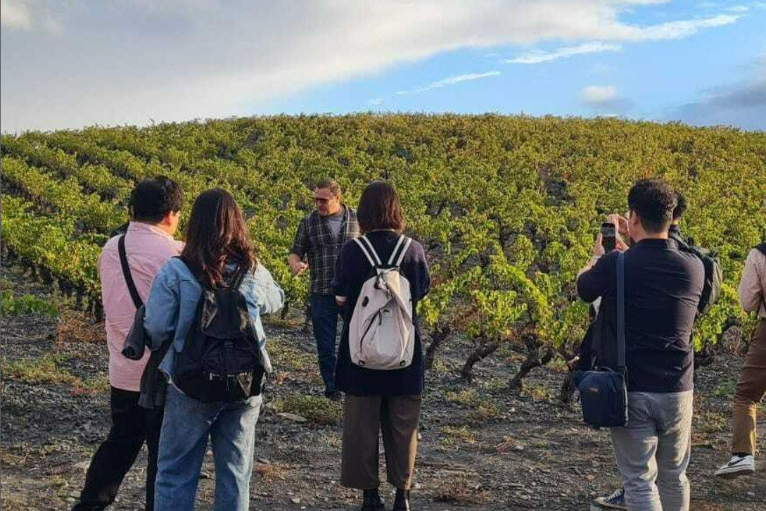 Gruppe von Personen in einem spanischen Weinberg bei einer Garnacha-Weinprobe, während ein Winzer die Reben erklärt. Im Hintergrund Reihen von Weinreben unter leicht bewölktem Himmel.